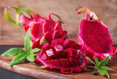 Buah Naga Disebut Dapat Membantu Menurunkan Tekanan Darah, Benarkah?
