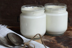 Tertarik Bikin Yogurt Sendiri? Ini Cara Mudah Membuat Yogurt yang Anti Gagal