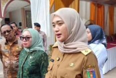 Wagub Lampung Dorong Koperasi Tembus Pasar Ekspor, Perkuat Komoditas Alpukat hingga Nanas Unggulan