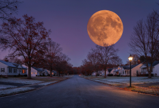 BMKG Ungkap Waktu Terbaik Menyaksikan Fenomena Hunter’s Moon di Lampung