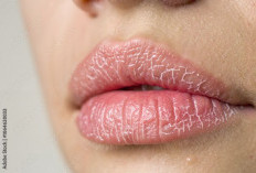 Rahasia Bibir Sehat dan Merah Alami: Panduan Perawatan dari Dalam dan Luar