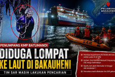 Penumpang KMP Batumandi Diduga Lompat ke Laut Jelang Sandar di Bakauheni, Tim SAR Masih Lakukan Pencarian