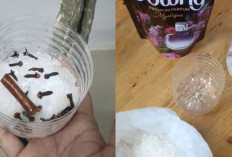 Rumah Auto Wangi Mewah! Ini Trik Pengharum Ruangan Alami Pakai Bahan Dapur