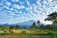 Intip Pesona 'The Hidden Paradise' Tanggamus yang Mendunia di 2026, Ternyata Bukan Hanya Teluk Kiluan