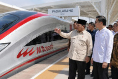 Ambil Alih Mayoritas Operator Whoosh, Pemerintah Fokus Perkuat Tata Kelola dan Keberlanjutan Proyek