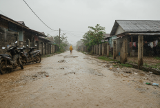 BMKG Peringatkan Potensi Banjir di Pesawaran, Delapan Kecamatan Jadi Perhatian