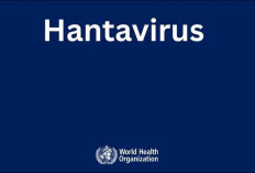 WHO Sebut Wabah Hantavirus Mulai Terkendali, Total Kasus Tetap 13 dengan Tiga Kematian