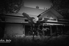 Misteri Gedung Tua di Kompleks Pemkab Lampung Timur: Kumuh, Terbengkalai, hingga Kisah Ghaib Dibaliknya