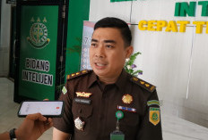 Posisi Arinal Semakin Dalam, Kejati Lampung Selidiki Dugaan Korupsi Pergub Pembakaran Tebu SGC