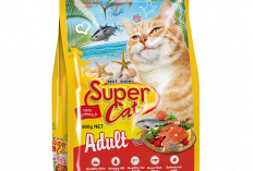 6 Makanan Kucing Murah tapi Bernutrisi, mulai Rp5 Ribuan! Bikin Sehat, Gemuk, dan Bulu Lebat