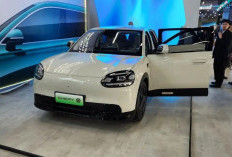 Chery Q Resmi Hadir di Lampung, Mobil Listrik Mungil Ini Punya Fitur Parkir Otomatis hingga Voice Command