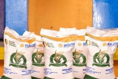 Bulog Siapkan 5.000 Ton Beras untuk Warga Terdampak Bencana di Sumut