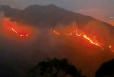 Kebakaran Gunung Rinjani Meluas Hingga 589 Hektare