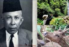 Wan Abdul Rachman, Pejuang Lampung di Balik Nama Tahura