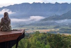 Menghabiskan Waktu di Alam Bisa Menjadi Cara Sederhana Menenangkan Pikiran