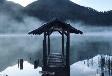 Pesona Danau Taman Hidup Argopuro, Surga Sunyi di Tengah Pegunungan