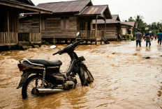 Banjir Kembali Rendam Sejumlah Wilayah Padang, Petugas Fokus Evakuasi Warga