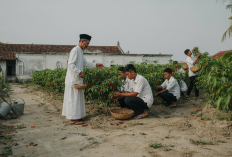 Panen Cabai Perdana di Pesantren, BI Lampung Perkuat Ketahanan Inflasi