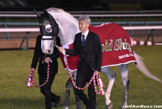 Gold Ship: Kuda dengan Kelakuan Random yang Disayangi Fansnya