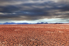 BMKG Prediksi Puncak Musim Kemarau 2026 Terjadi Juli–September, Masyarakat Diminta Waspada Dampak El Nino