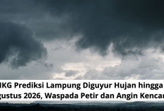 BMKG: Lampung Berpotensi Diguyur Hujan hingga 26 Agustus 2026, Waspada Petir dan Angin Kencang