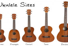 Mengenal Ukulele: Instrumen Petik Khas Hawaii yang Ramah Pemula dan Kaya Sejarah