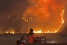 Kebakaran Taman Nasional Bromo Tengger Semeru Capai 196 Hektare, Belum Sepenuhnya Padam