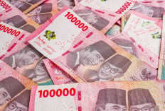 Pemerintah Salurkan BSU Rp900 Ribu untuk 13,3 Juta Pekerja, Ini Batas Gaji dan Syarat Terbarunya!