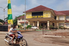 12 Jabatan Eselon II Lamtim Kosong Berbulan-bulan, Ukom Rp150 Juta Dipertanyakan
