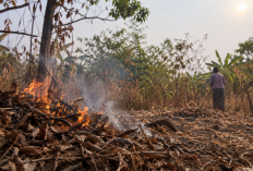 Cuaca Panas dan Daun Kering Jadi Ancaman, Ibu 57 Tahun Tewas Saat Bakar Sampah