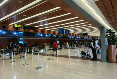  BMKG Ungkap Hasil Tes Abu Vulkanik di 4 Bandara Pascaerupsi Anak Krakatau