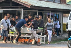 KKB Tembak Mati ASN di Jayawijaya, Setelah Penyuluhan di Bidang Peternakan 