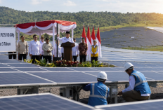 Indonesia Mulai ‘Berburu’ Energi dari Matahari, Prabowo Targetkan 100 GWp PLTS dalam 3 Tahun