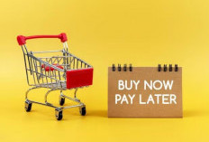 PayLater Makin Populer, Solusi atau Jebakan?