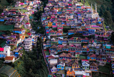Pesona Nepal Van Java, Desa di Lereng Gunung Sumbing yang Memikat Wisatawan