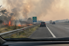Kebakaran Lahan di KM 343 Tol Kayu Agung Jadi Sorotan, Warganet Keluhkan Asap