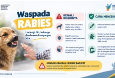 Sayang Hewan, Kenali Risiko Rabies: Edukasi Pencegahan Menjangkau Siswa di Lampung