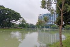 Wah! Ini dia 6 Kegiatan Yang Biasa Dilakukan Oleh Orang-Orang Di Embung UIN Raden Intan Lampung