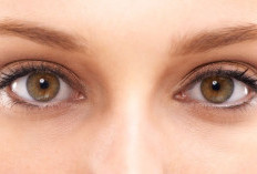 Menjaga Jendela Dunia: Panduan Komprehensif Kesehatan Mata di Era Modern