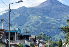 Banyak Anak Muda Mulai Tinggalkan Kota Besar, Tren Tinggal di Daerah Kian Meningkat
