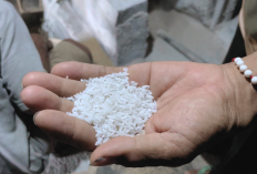600 Ton Beras SPHP Diduga Dioplos Jadi Premium, Beras Murah untuk Rakyat Dijual Lebih Mahal