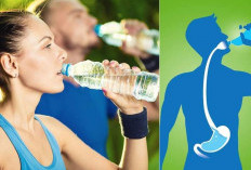 Sering Dianggap Sepele, Minum Sambil Berdiri Ternyata Bisa Bikin Asam Lambung Naik!