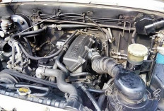 Meski Sering Disebut Mesin Badak, Mobil Diesel Tetap Butuh Perawatan Rutin