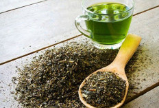 Benarkah Teh Hijau yang Bikin Ketagihan Warga Lampung? Ini Faktanya