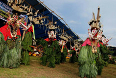 Mengenal Hudoq Pekayang, Tradisi Dayak yang Berkaitan dengan Musim Tanam Padi