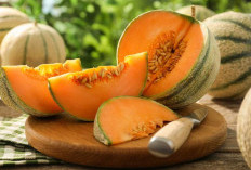 10 Manfaat Buah Melon untuk Kesehatan, Mulai dari Mencegah Dehidrasi hingga Menjaga Imunitas Tubuh