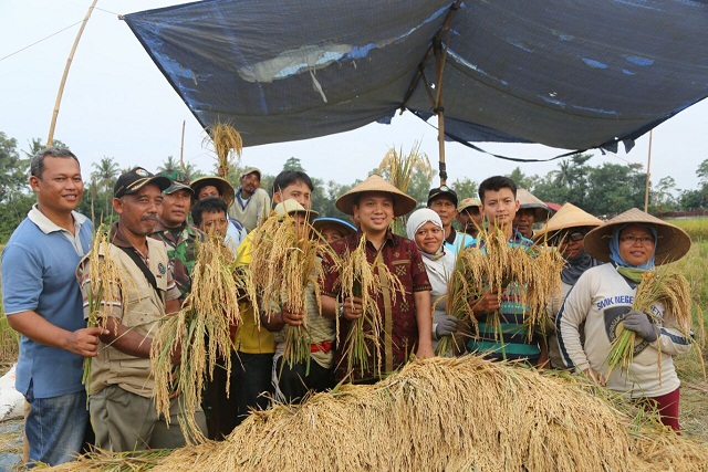 Gubernur Lampung mengapresiasi upaya petani hingga meraih surplus dan menempati peringkat terbaik ke-4 se- Ind