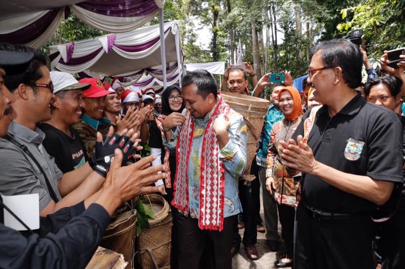 Ribuan Masyarakat dan Petani Ngunduh Damar Menyambut Hangat Kehadiran Gubernur Lampung di Pesisir Barat