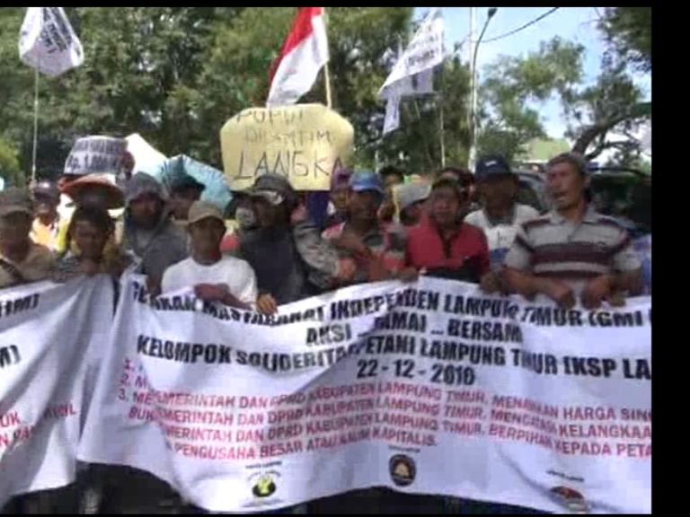 Tolak Beli Singkong, Petani Protes Pabrik Tapioka