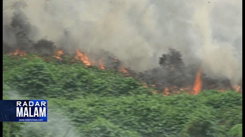 Hari Kemerdekaan Belasan Hektare Kebun Karet Terbakar